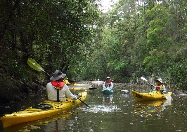 Brimbin Nature Reserve Brimbin Nature Reserve