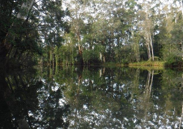 Pipers Creek Pipers Creek