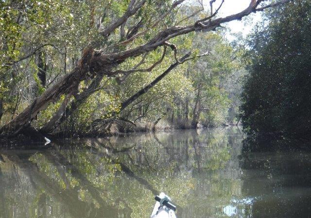 Limeburners Creek to Saltwater Lake Limeburners Creek to Saltwater Lake