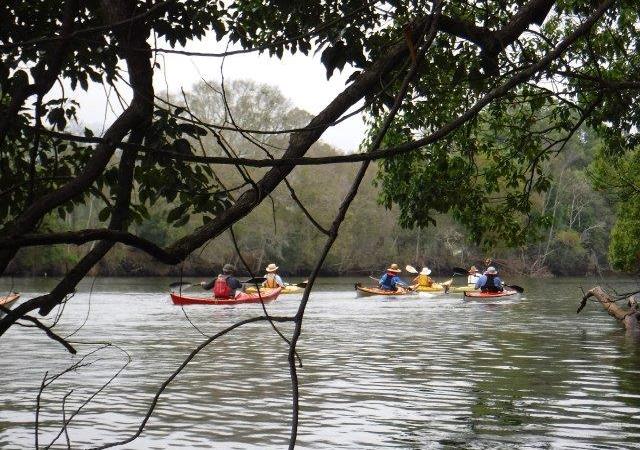 Camden Haven River,&nbsp;Kendall