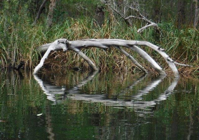 ‘Mariaville’, Upper Maria&nbsp;River