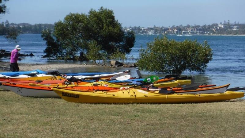 Pelican Point Littoral Rainforest&nbsp;Reserve