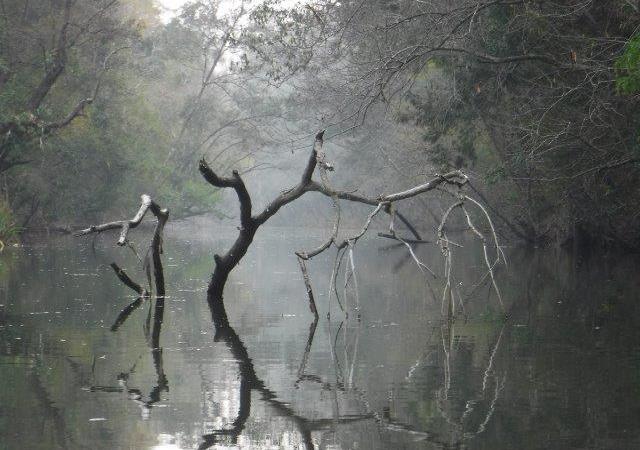 Pipers Creek at&nbsp;Kundabung