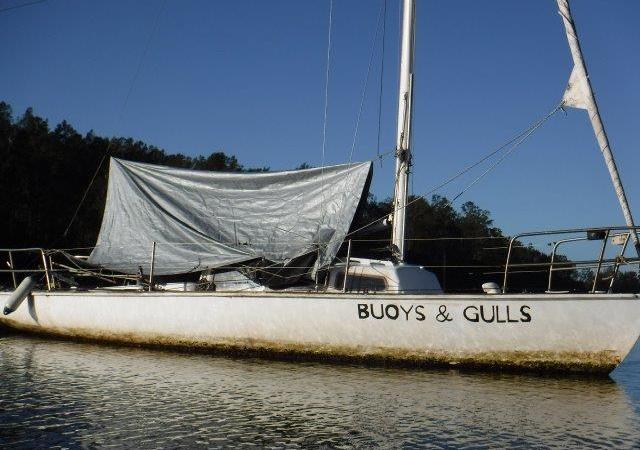 The Anabranches: Lake&nbsp;Cathie