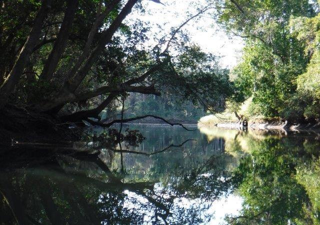 Rocks Ferry Wauchope & Queens&nbsp;Lake