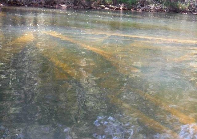 Queens Lake Nature Reserve into Waterloo & Bobs Creeks Queens Lake Nature Reserve into Waterloo & Bobs Creeks