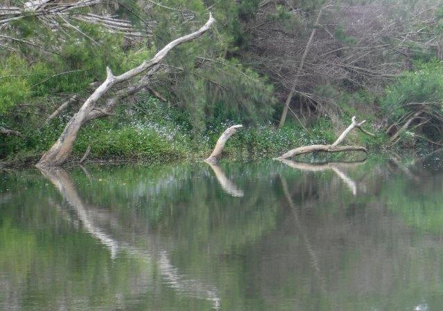 Devils Elbow at Congarinni towards&nbsp;Bowraville