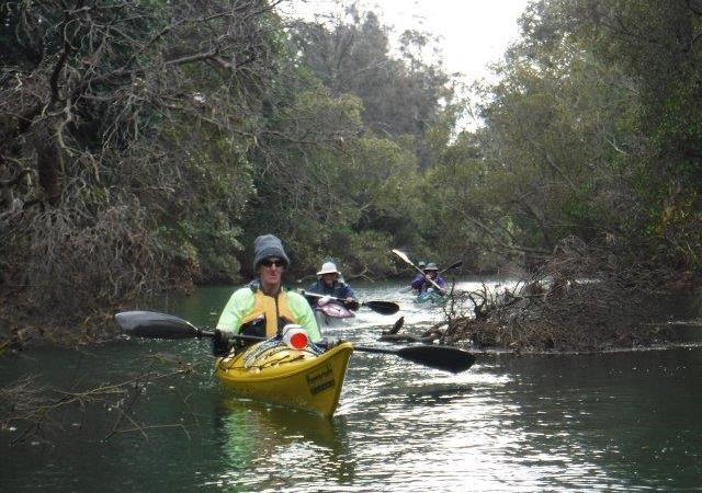 Haydons Creek to&nbsp;Sancrox