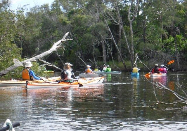 Killick Creek at Crescent&nbsp;Head