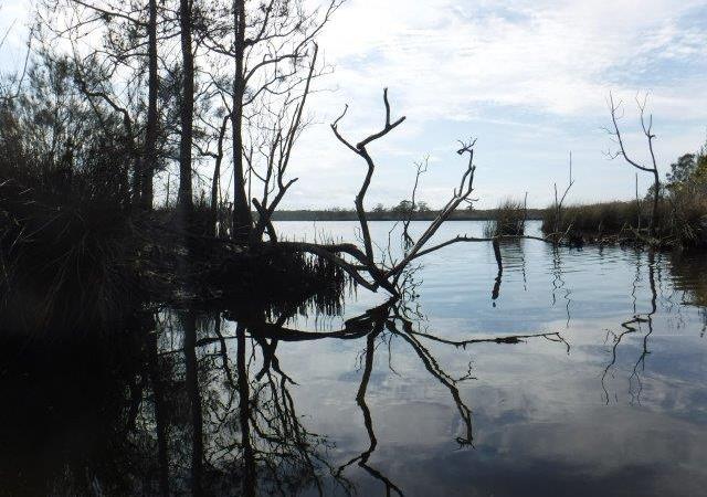 Tom Dick’s Hole & Shallow Lake to Saltwater&nbsp;Lake